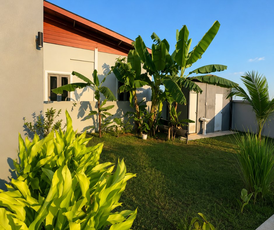 villa khamsavath vientiane tropical garden Tropical garden with banana and palm trees at a villa in Vientiane