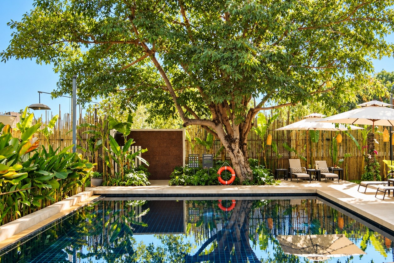 Swimming pool under a large tree – Sisattanak expat area Vientiane