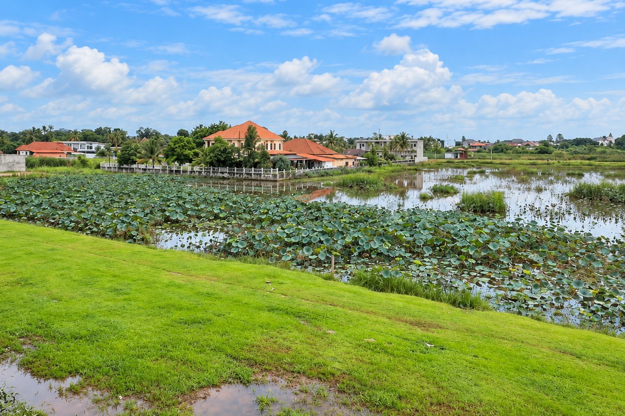 Lotus pond and green view near the villa – modern villa, Sisattanak expat area, Vientiane